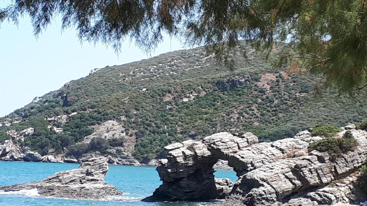 Ellina'S Home - Euboea Island Greece Oxílithos Exterior foto